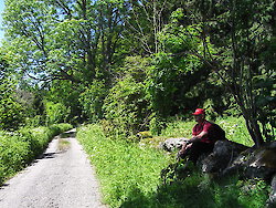 Wanderurlaub im Bayerischen Wald